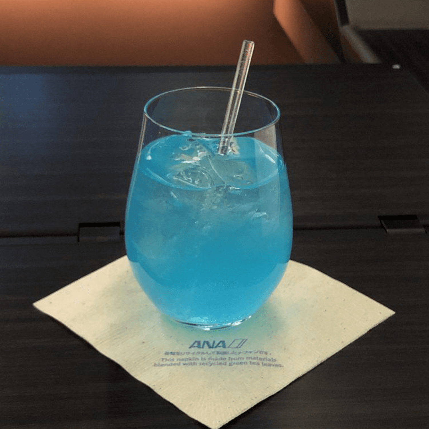ANA Business Class