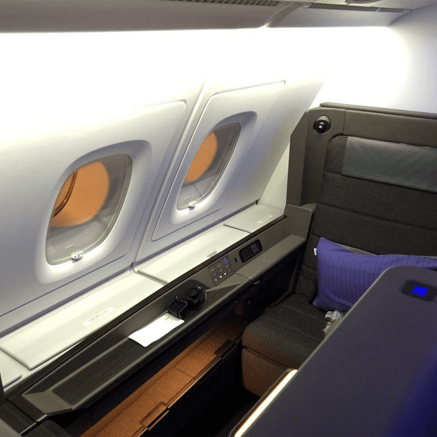 ANA Business Class